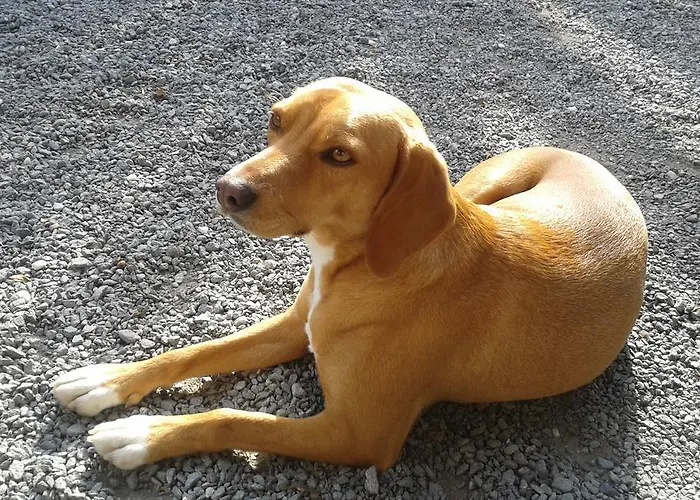 Rio