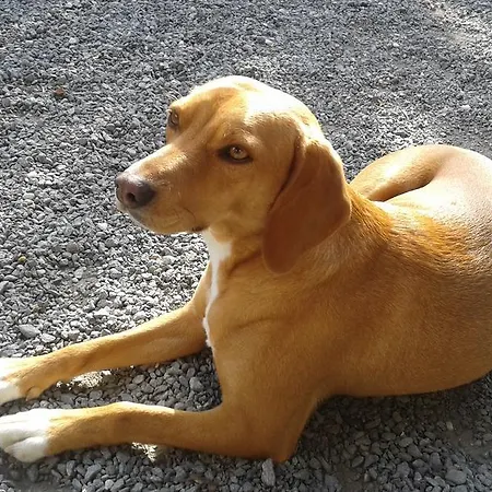 Rio